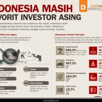 Perbedaan Developer Lokal dan Asing di Indonesia