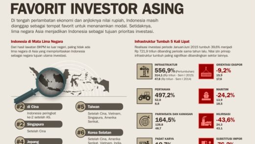 Perbedaan Developer Lokal dan Asing di Indonesia