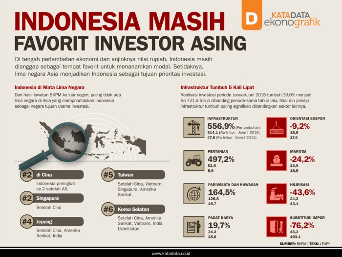 Perbedaan Developer Lokal dan Asing di Indonesia