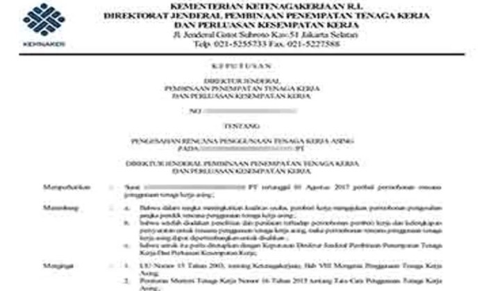Perbedaan Developer Lokal dan Asing di Indonesia