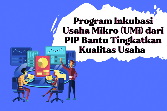 Program Inkubasi Bisnis untuk UMKM Pemula