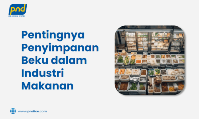 Model Distribusi UMKM Makanan Beku